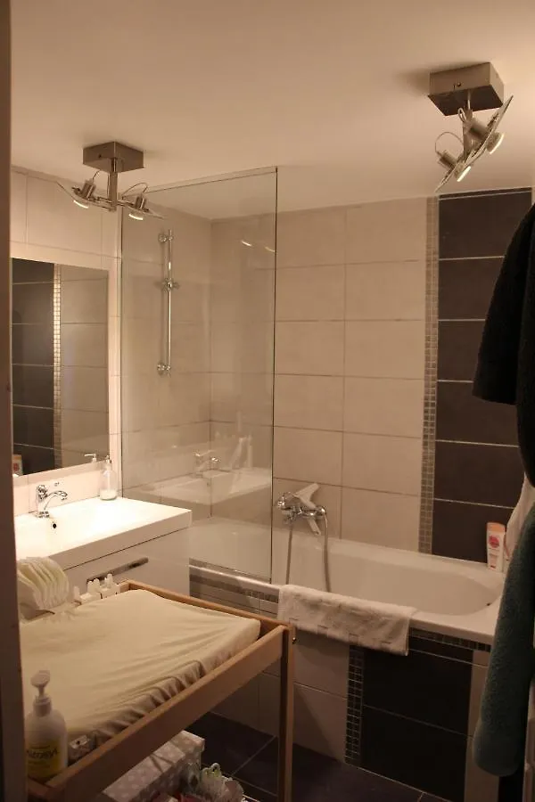 Rent4Night Grenoble Allobroges Apartment France